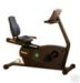 Precor Recumbent Bike