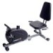 Stamina Recumbent Bike