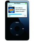 Apple iPod MP3  Player